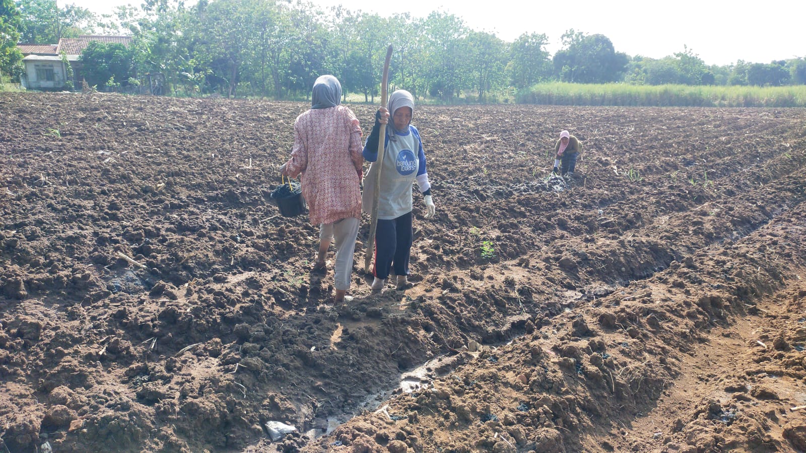 Pemberdayaan Petani Lokal